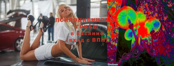 ECSTASY Бородино