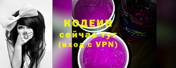 ECSTASY Бородино
