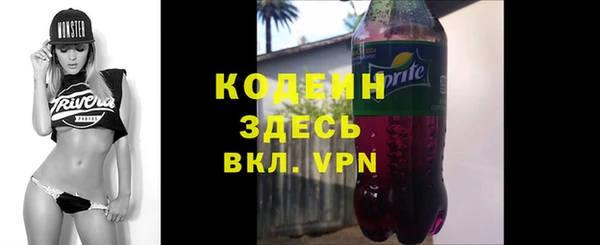 ECSTASY Бородино