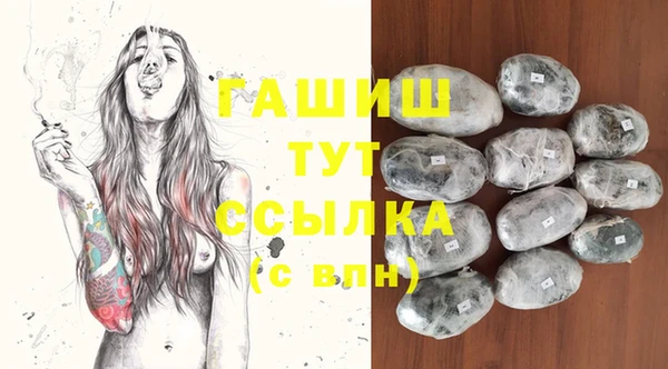 ECSTASY Бородино