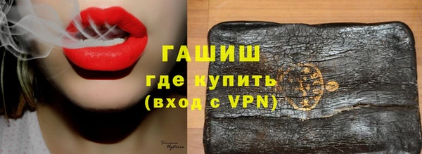ECSTASY Бородино