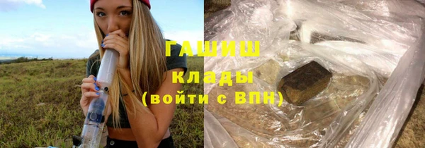 ECSTASY Бородино