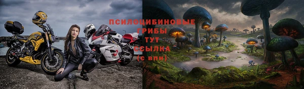 ECSTASY Бородино
