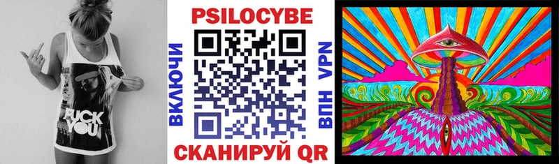 Галлюциногенные грибы Psilocybe  Славянск-на-Кубани 